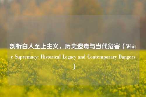 剖析白人至上主义,历史遗毒与当代危害(White Supremacy: Historical Legacy and Contemporary Dangers)
