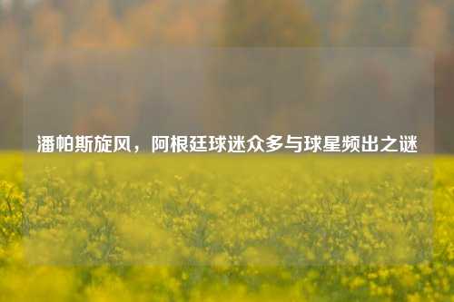 潘帕斯旋风,阿根廷球迷众多与球星频出之谜
