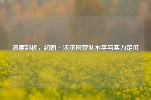 深度剖析,约翰·沃尔的带队水平与实力定位