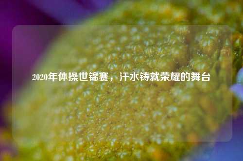 2020年体操世锦赛,汗水铸就荣耀的舞台