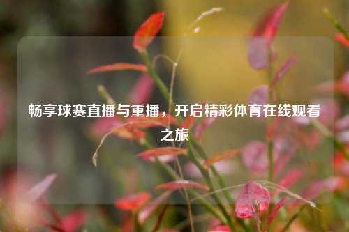 畅享球赛直播与重播,开启精彩体育在线观看之旅