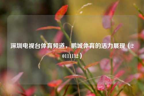 深圳电视台体育频道,鹏城体育的活力展现(20111112)