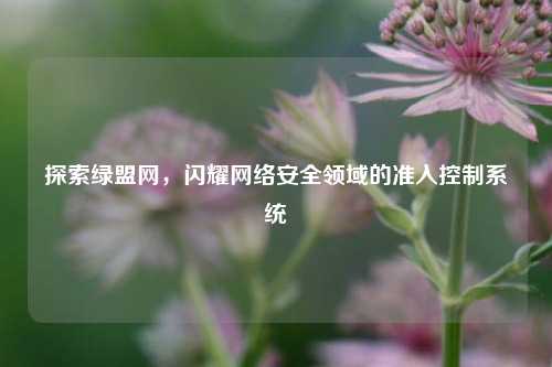 探索绿盟网,闪耀网络安全领域的准入控制系统