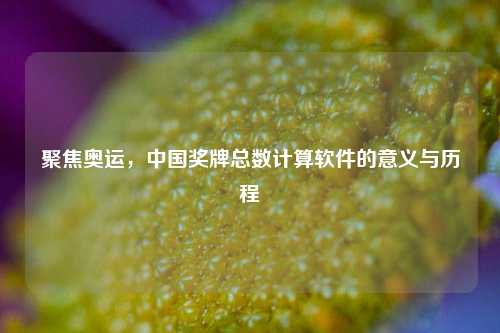 聚焦奥运,中国奖牌总数计算软件的意义与历程