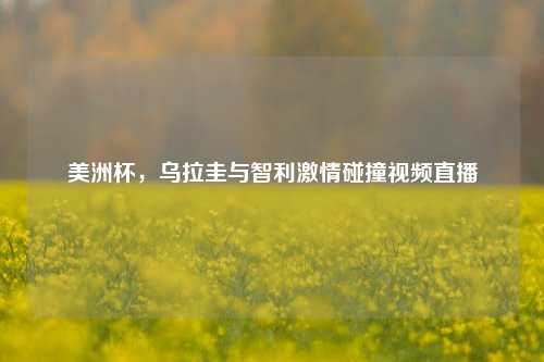 美洲杯,乌拉圭与智利 碰撞视频直播