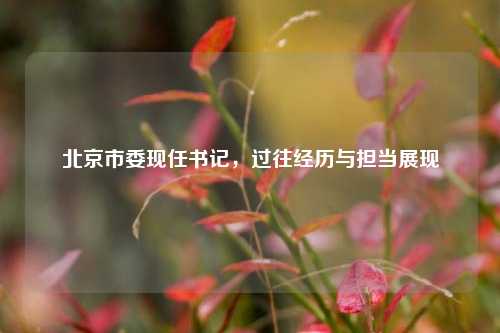 北京市委现任书记,过往经历与担当展现