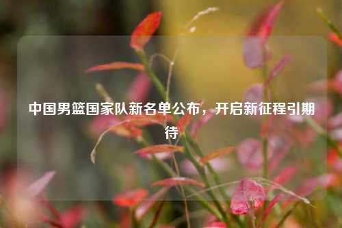 中国男篮国家队新名单公布,开启新征程引期待