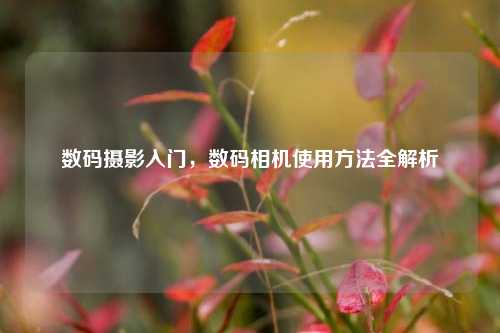 数码摄影入门,数码相机使用 全解析